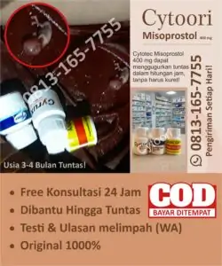 penggugur Kandungan Asli Cytotec Misoprostol 400 mg